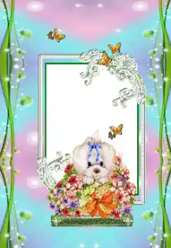 Photo effect mula sa kategorya Mga pagdiriwang ng bata № 151673