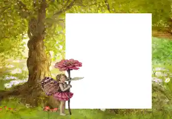 Photo effect mula sa kategorya Sa kalikasan № 9863