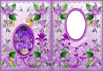 Photo effect mula sa kategorya Mga takip ng DVD № 183322