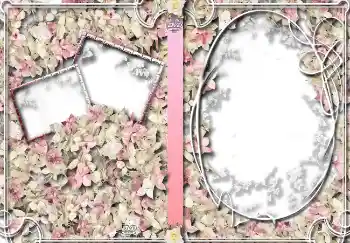 Photo effect mula sa kategorya Mga takip ng DVD № 4459. Kapsyon sa frame: Bahay na arkibo