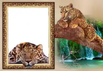 Photo effect mula sa kategorya Mga kalendaryo № 169097. Kapsyon sa frame: 2026
