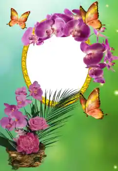 Photo effect mula sa kategorya Iba't ibang holiday № 150615