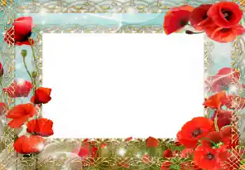 Photo effect mula sa kategorya Iba't ibang holiday № 151740. Kapsyon sa frame: Araw ng Alaalang at Pakikipagkasundo