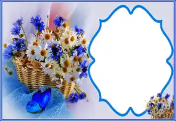 Photo effect mula sa kategorya Iba't ibang holiday № 151810