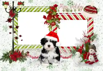 Photo effect mula sa kategorya Iba't ibang holiday № 163336. Kapsyon sa frame: Happy Holidays
