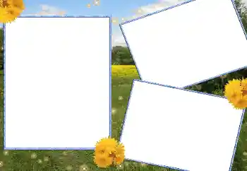 Photo effect mula sa kategorya Tag-init № 13915