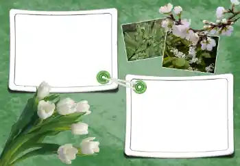 Photo effect mula sa kategorya Tagsibol № 93095