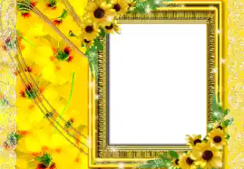 Photo effect mula sa kategorya Mga frame ng larawan para sa babae № 196624