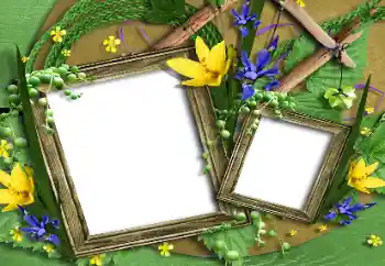 Photo effect mula sa kategorya Mga frame ng larawan para sa babae № 196631
