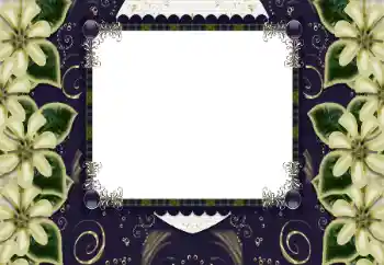 Photo effect mula sa kategorya Mga frame ng larawan para sa babae № 197644