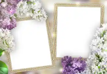Photo effect mula sa kategorya Mga frame ng larawan para sa babae № 198787 Photo effect mula sa kategorya Mga frame ng larawan para sa babae № 198787
