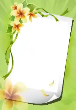 Photo effect mula sa kategorya Mga frame ng larawan para sa babae № 199012