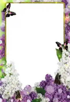 Photo effect mula sa kategorya Mga frame ng larawan para sa babae № 203271