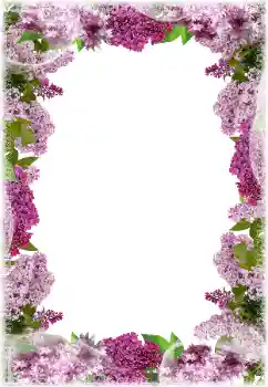 Photo effect mula sa kategorya Mga frame ng larawan para sa babae № 203297