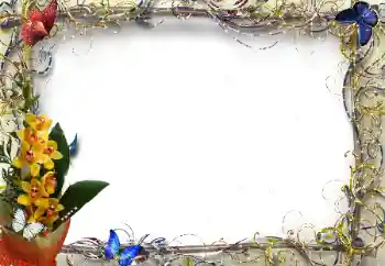 Photo effect mula sa kategorya Mga frame ng larawan para sa babae № 205374