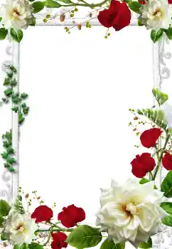 Photo effect mula sa kategorya Mga frame ng larawan para sa babae № 205375